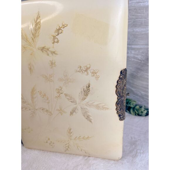 Antique Victorian Celluloid with Velvet Photograph Album - Picture 2 of 9